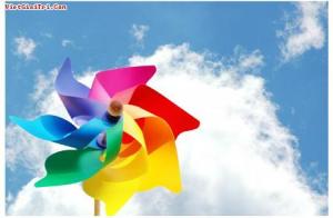 1318952363_chong-chong