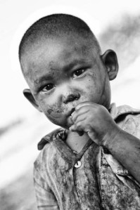 A t120930kptreem02-8c8b6