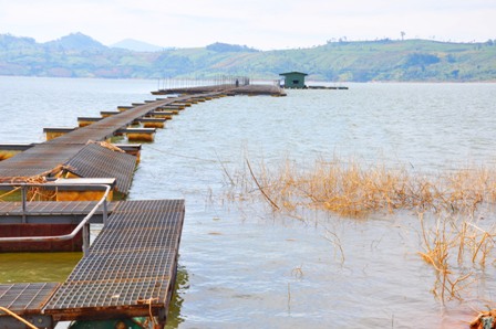 A. Bè nuôi cá tầm trên hồ thủy điện Buôn Tuôr Sra