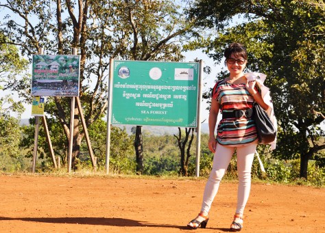 Điểm ngắm Biển Rừng CPC