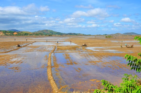 Cánh đồng Buôn Triết