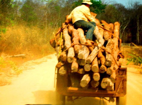 Xe công nông chở trụ tiêu