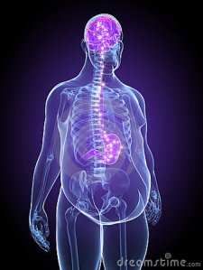 stomach-brain-connection