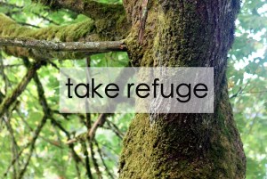 TakeRefuge