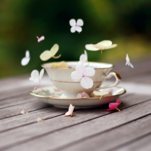 thumb_flex-1303716642417215_file