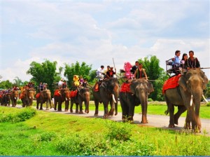 Ảnh: Quyền Nga – Kiến Hường