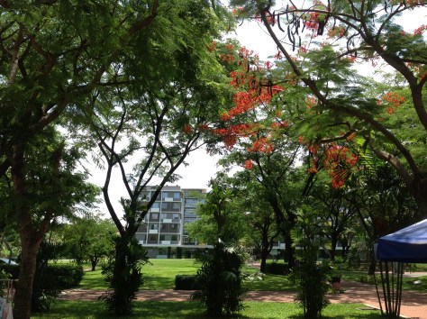 Một góc trường RMIT - Ảnh: Hồng Thuận