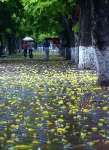 2705806363_0386d8938f