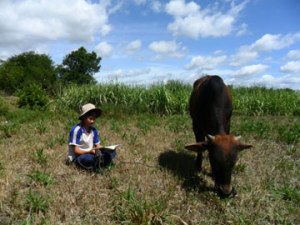 chan-bo-11209091-sinhvienplus.vn