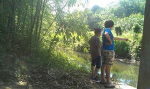 Em Phương và em Hương đang xem cá