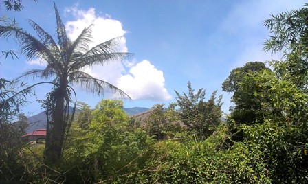 Trời xanh mây trắng.. tại nhà anh Thảo