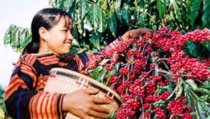 02-Tay-nguyen-3161-2440123