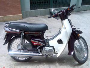 14991859_pph1300892519-1-