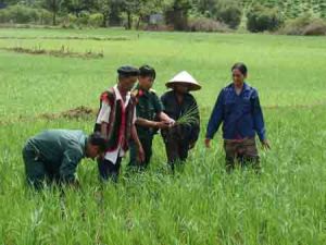 3576158020130221183922846