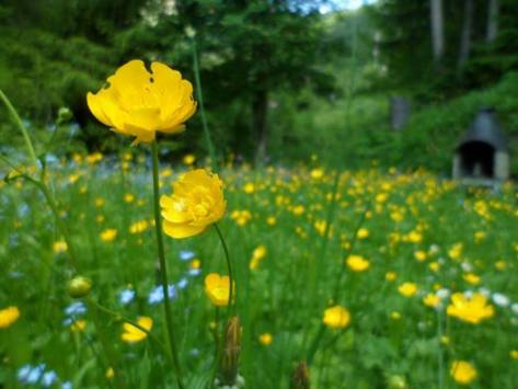 533711_689501244397778_367195362_n