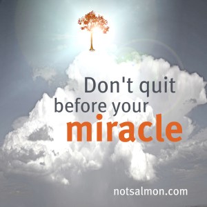 dontqquitmiracle