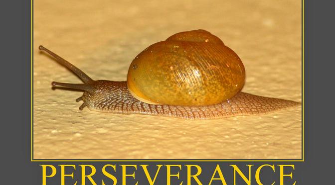 Kiên trì tiến đến thành công