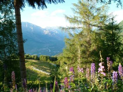 Xa xa bên dưới là thung lũng, với sông Rhôn uốn lượn giữa những ruộng nho — ở Saxon, Valais, Switzerland