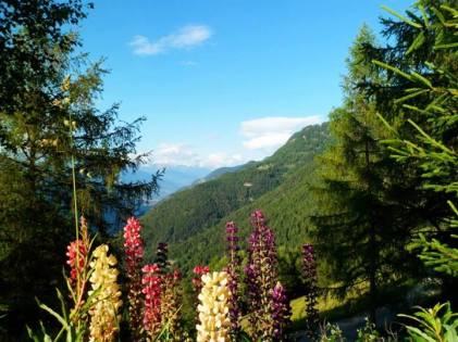 Trời xanh ngát, cao vời — ở Saxon, Valais, Switzerland