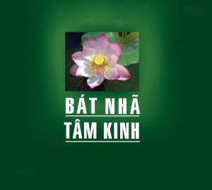 bat-nha-tam-kinh