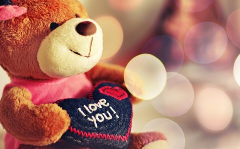 I-Love-You-Teddy-Bear-1378715633