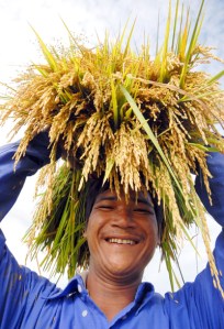 lua7-8062-1379041538