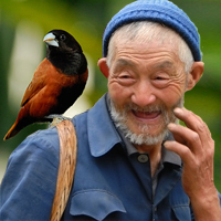 55242788-1248144233_choi chim