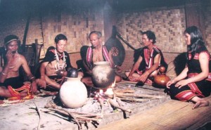 images824049_anh_10___bap_bung_bep_lua