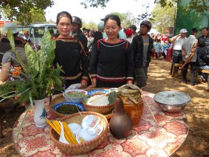 images854534_DSCN1804