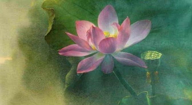 Sóng Lớn – 101 Truyện Thiền Slideshows