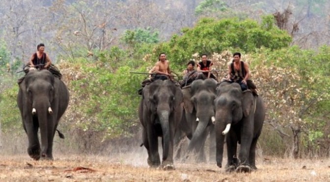 Đi tìm tình yêu như đi tìm mồi!