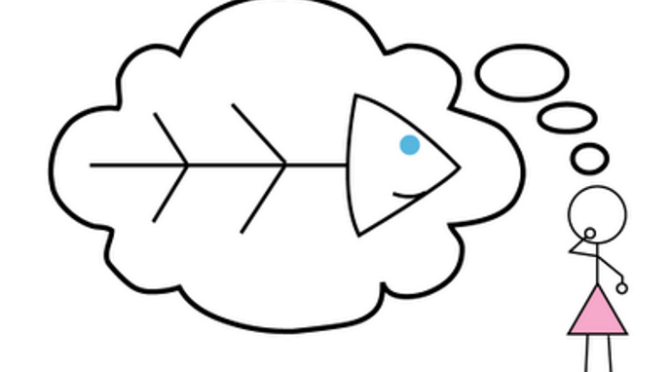 Xin đĩa xương cá