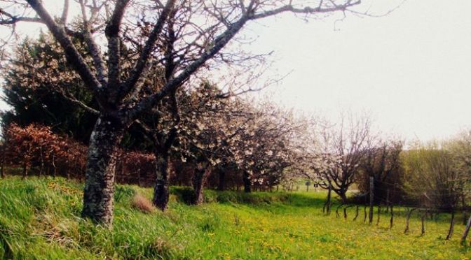 Nói Không trút bỏ niềm đau