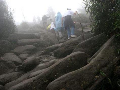 Đường lên Chùa Đồng, Yên Tử