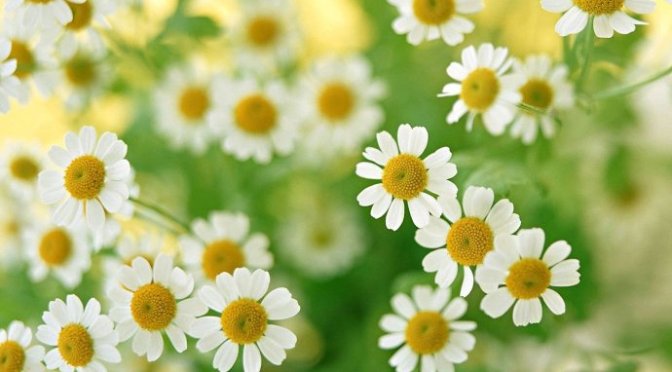 Hãy sống tử tế