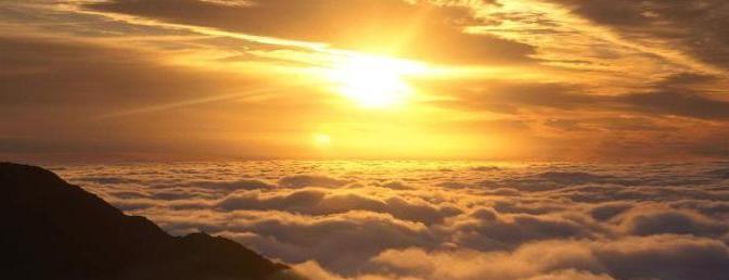 Lấy cái chung của loài người làm gốc