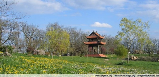 Sức mạnh của dừng lại