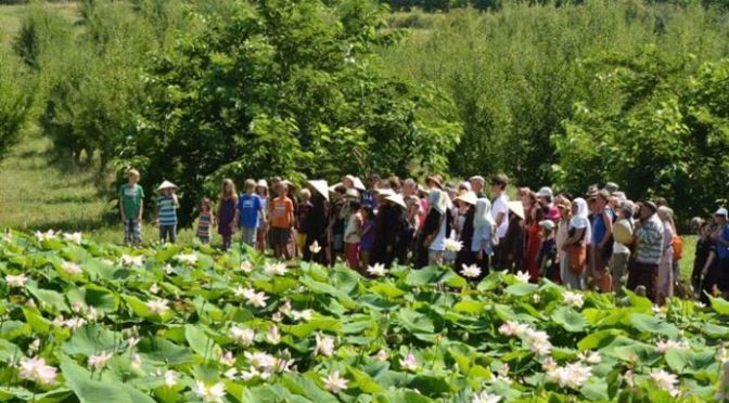 Giao tiếp bằng im lặng