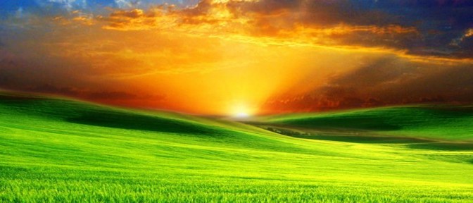 Happy 2014 to everyone !