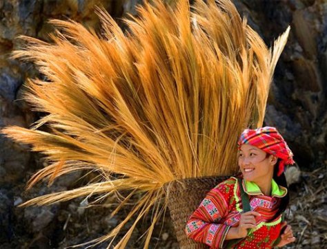 110527091118-226-278