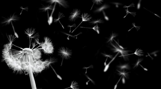 Mơ ước nhỏ nhoi