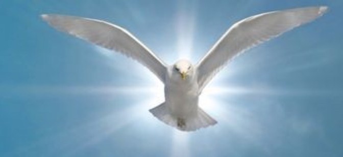 Gợi an lạc và lòng tin