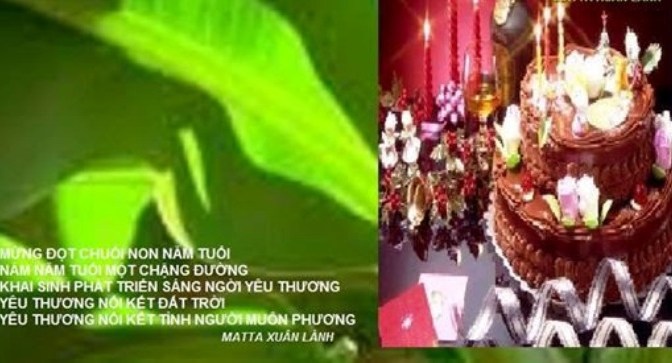 Mười tám tháng với Đọt Chuối Non