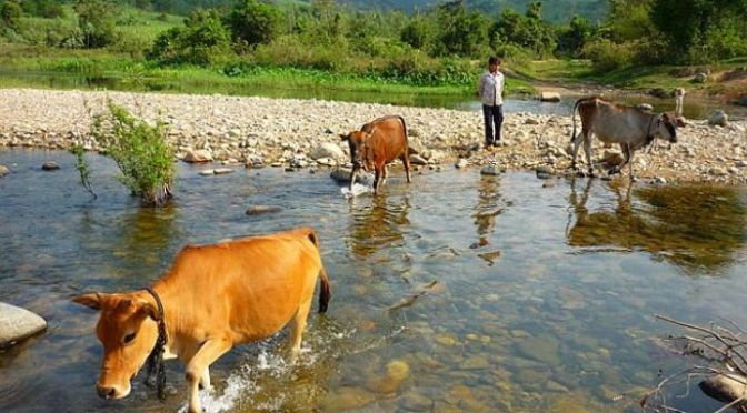 Việc gì, của ai