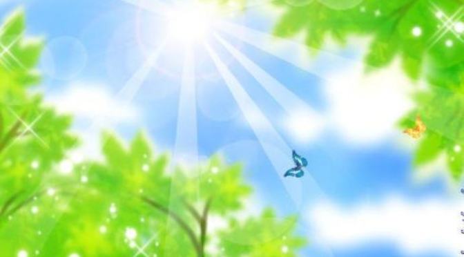 Tình yêu tôi nơi đâu