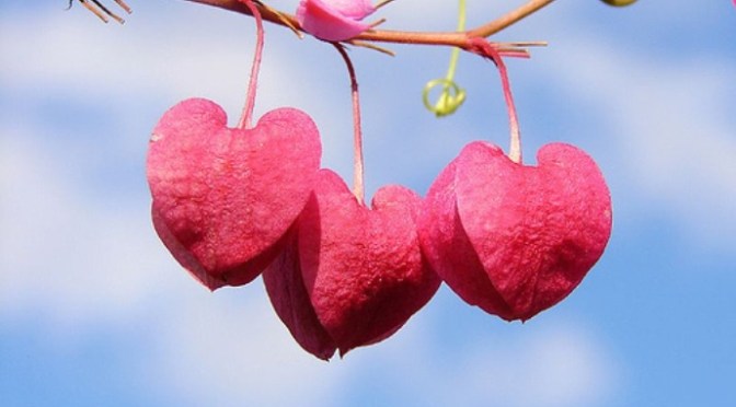 Sợ chết có tốt không?