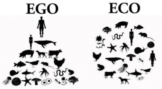 Bình đẳng là chúng ta đều giống nhau