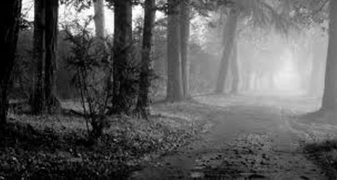 Đạo khả đạo phi thường đạo