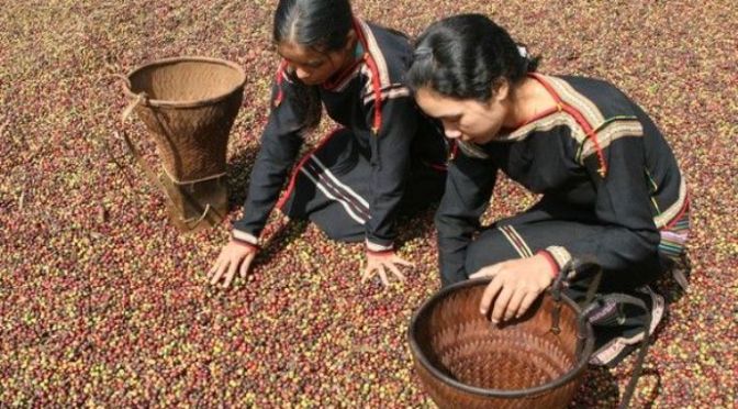 Cần ăn, cần đất