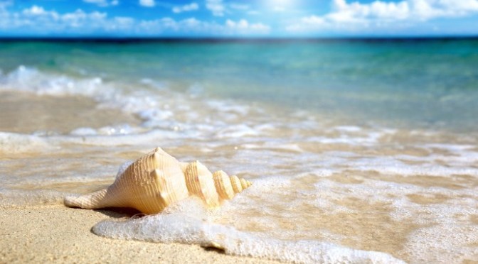 Ru em bằng tiếng sóng